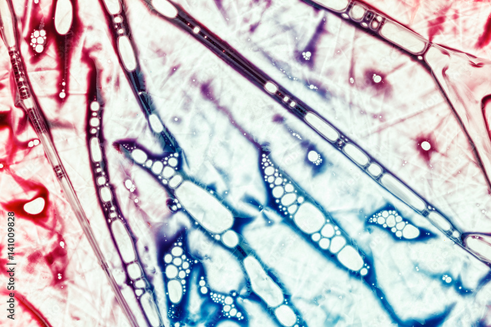 Fototapeta premium Background of blood in a plastic bag of the donor. Physiological liquids, chemical reagents for analysis