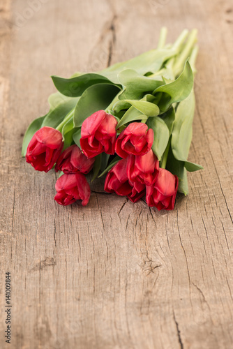 Red tulip flowers on rustic wooden background