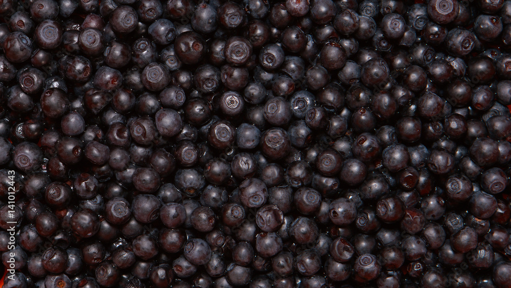 TOP VIEW: Ripe bilberries TOP VIEW: Ripe bilberries