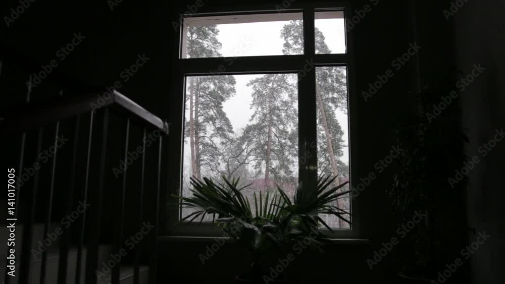 Snow Outside the Window, dolly shot Snow Outside the Window, dolly shot