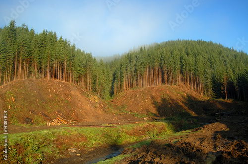 in Carpathians