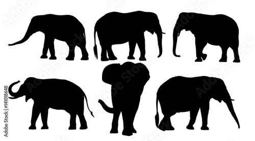 Photography Set of black silhouettes of elephants isolated on white background