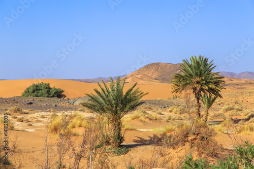 Beautiful Moroccan Mountain landscape in desert with oasis