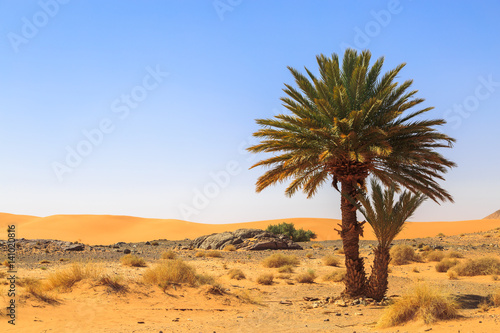 Beautiful Moroccan Mountain landscape in desert with oasis