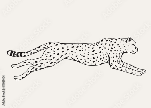Fototapeta Naklejka Na Ścianę i Meble -  Runing leopard hand drawn