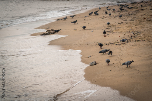 Photography sea