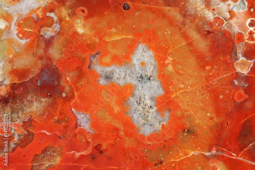Bild auf Leinwand Mineral: Karneol-Achat (SiO2)  aus dem Karneolhorizont im Buntsandstein, Elme be