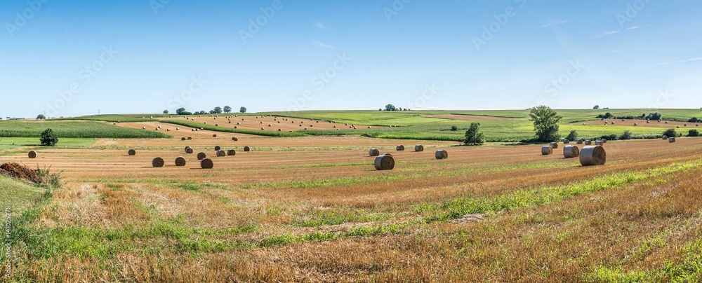 Obraz premium agriculture