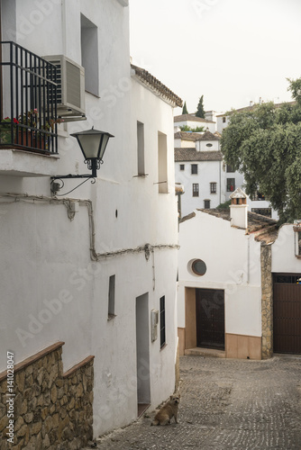 Fototapeta Naklejka Na Ścianę i Meble -  Ronda (Andalucia, Spain)