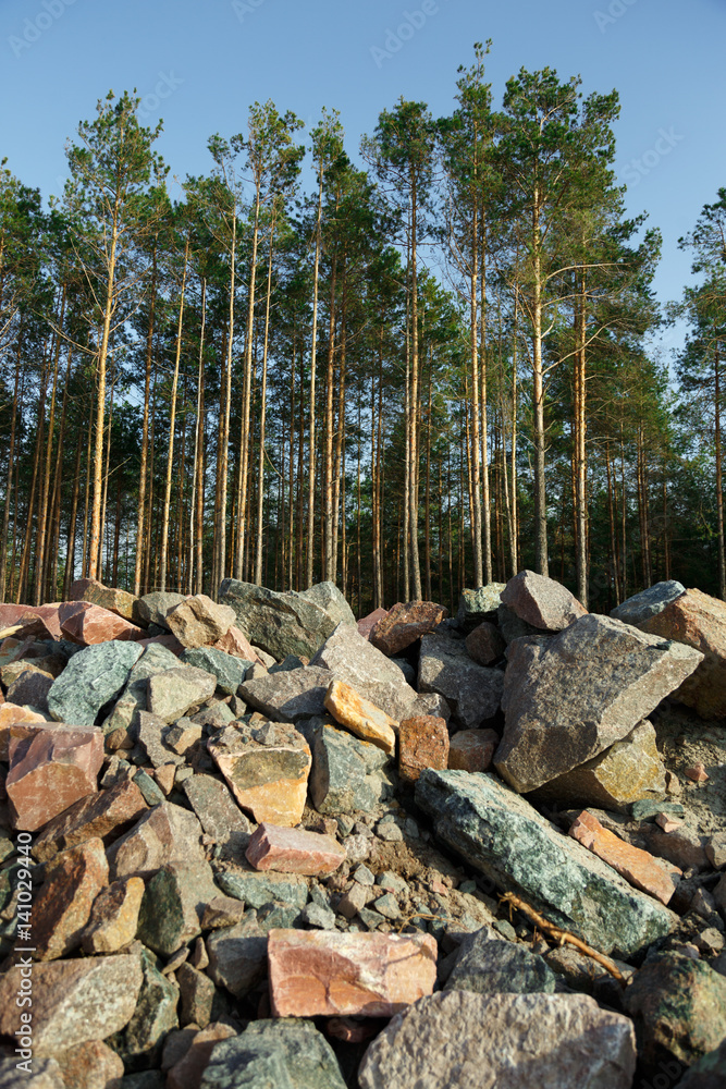 Pile of stones in front of forest Pile of stones in front of forest