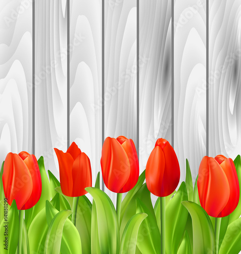 Beautiful Tulips Flowers on Wooden Background