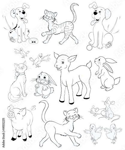 Animals on the farm coloring pages