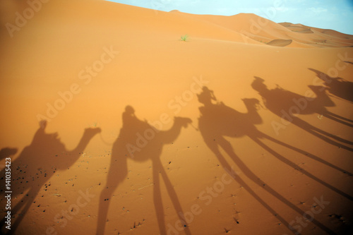 Africa - Marocco - Merzouga - Carovana di turisti a cammello nel deserto - Sahara