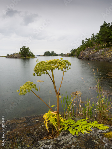 Gryt Valdemarsvik Schärengarten Schweden photo