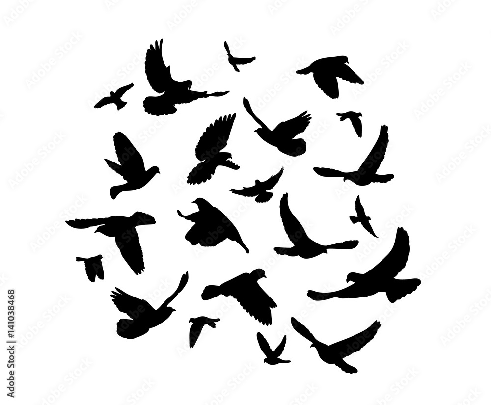 Vector, silhouette of flying birds Vector, silhouette of flying birds