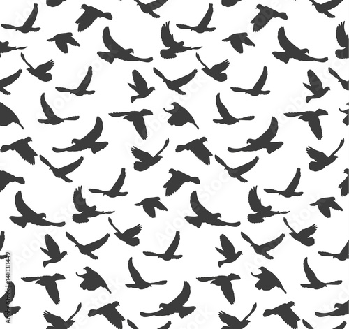 Vector, seamless pattern, silhouette of flying birds, background with black birds © zolotons