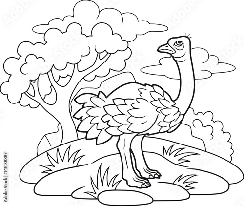 Cartoon funny ostrich coloring book