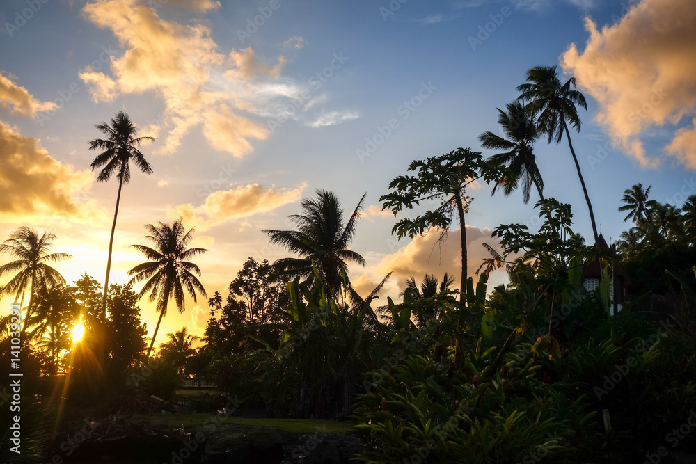 Palm tree at sunset in Moorea island