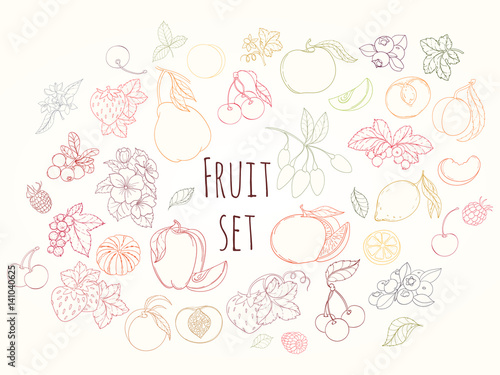 Set of vector illustration of fruits and berries
