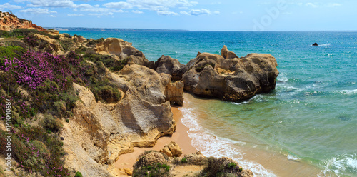 Atlantic blossoming coast (Algarve, Portugal).