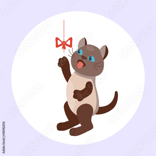 Cat breed cute kitten brown pet portrait fluffy young adorable cartoon animal and pretty fun play feline sitting mammal domestic kitty vector illustration.