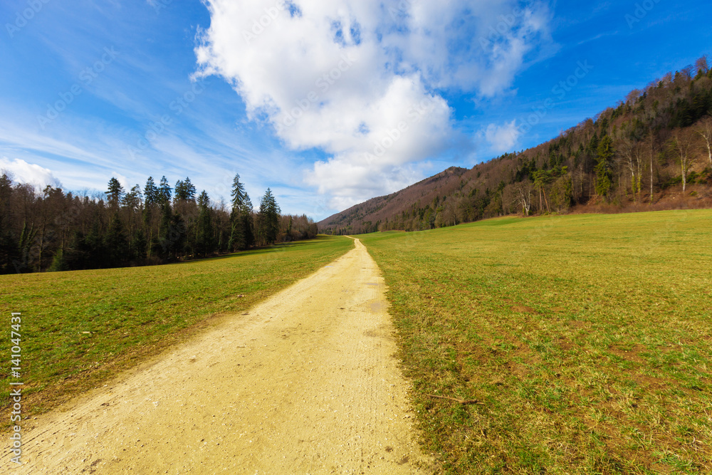 Fototapeta premium Countryside landscape with dirt road