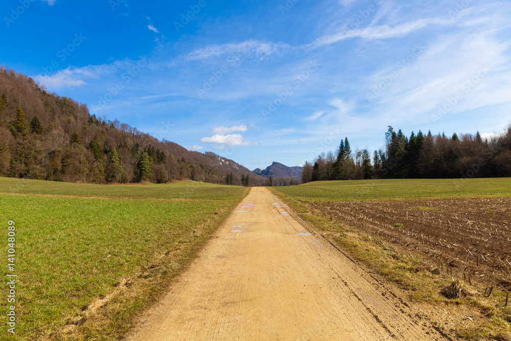 Countryside landscape with dirt road