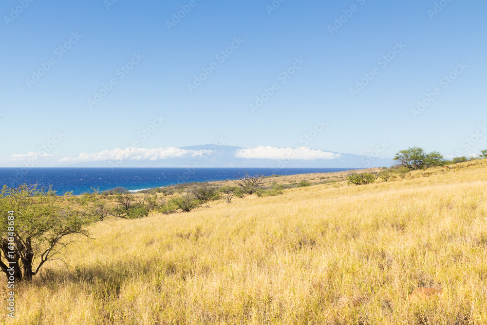 The big Island of Hawaii and Maui