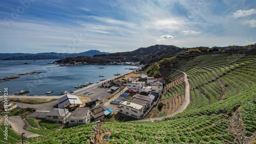 遊子水荷浦の段畑（愛媛県宇和島市） タイムラプス