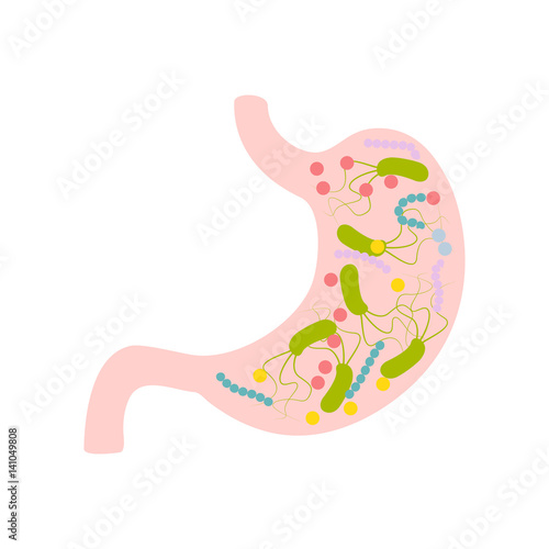 stomach with helicobacter pylori icon flat style