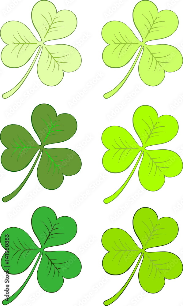 Clover for St. Patrick's day