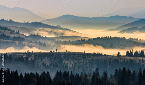 morning fog among trees © Pellinni