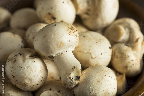 Raw Organic Baby Button Mushrooms