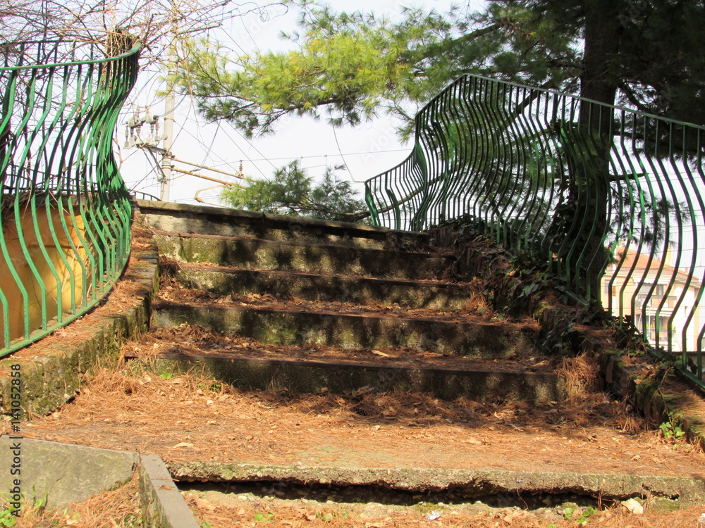 Scala curva nel parco urbano StockFoto Adobe Stock