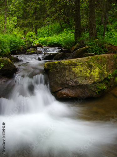 Creek in the woods