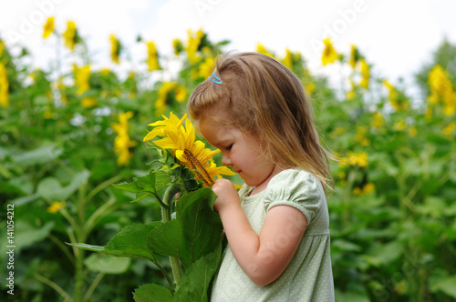  girl and sunflower on the field © Alekss