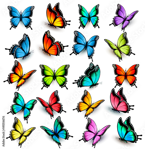 Collection of colorful butterflies, flying in different directions. Vector.