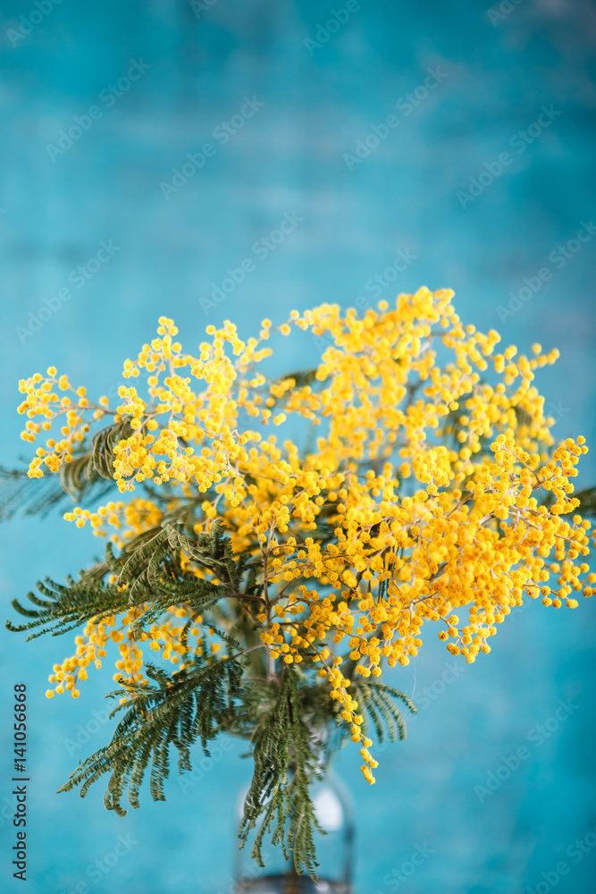 Mimosa in jar on table Mimosa in jar on table