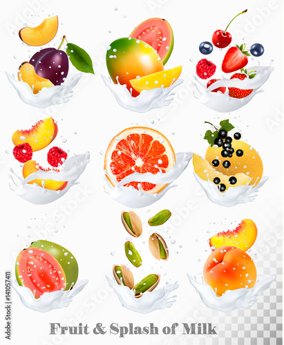 Fototapeta Naklejka Na Ścianę i Meble -  Big collection icons of fruit in a milk splash. Guava, plum, mango, blackcurrant, strawberry, cherry, blueberry, honey, melon, peach. Vector Set