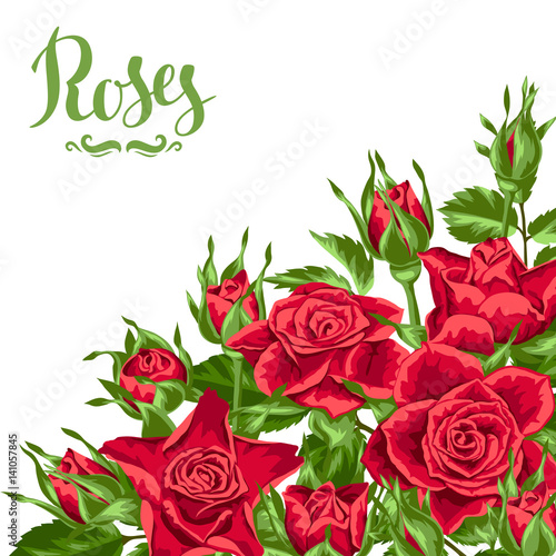 Background with red roses. Beautiful realistic flowers  buds and leaves