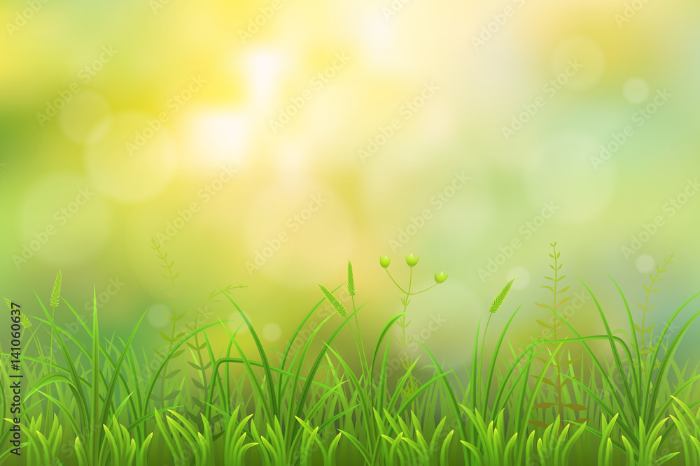 Spring green grass herbal natural background