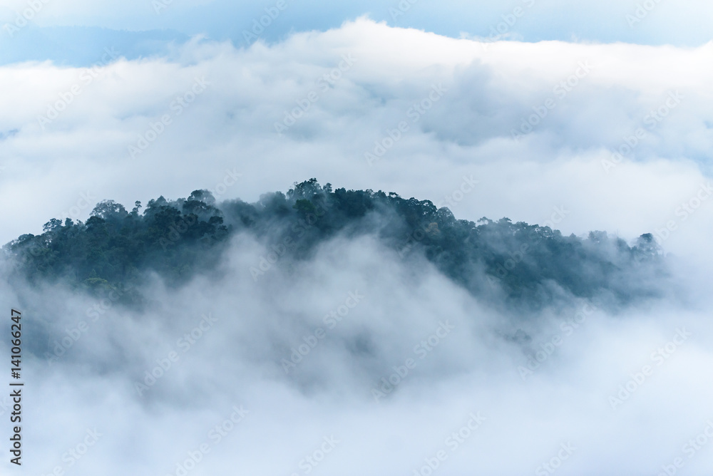 Fog is cover over the jungle in national park in Thailand.