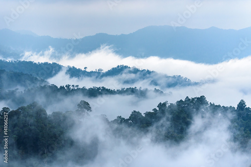 Fog is cover over the jungle in national park in Thailand.