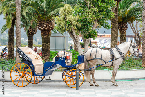 Fotografía Horse carriage for tourist in Mijas, Spain