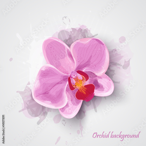Fototapeta Naklejka Na Ścianę i Meble -  Orchid pink flower. vector illustration