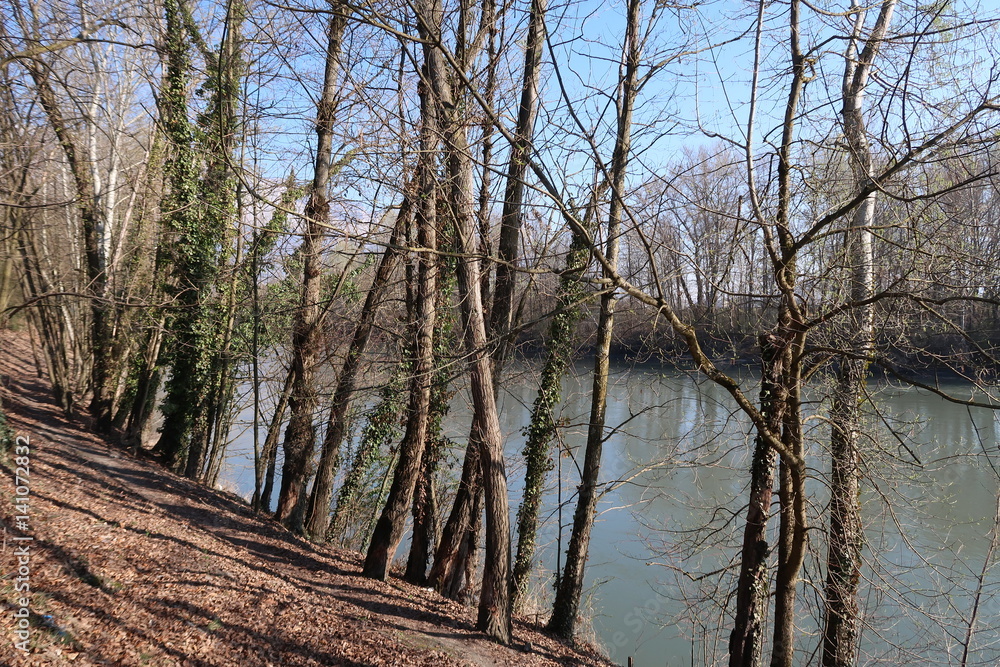 Obraz premium Vue sur une rivière grenobloise