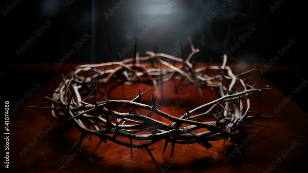 Crown of Thorns Macro Crown of Thorns Macro