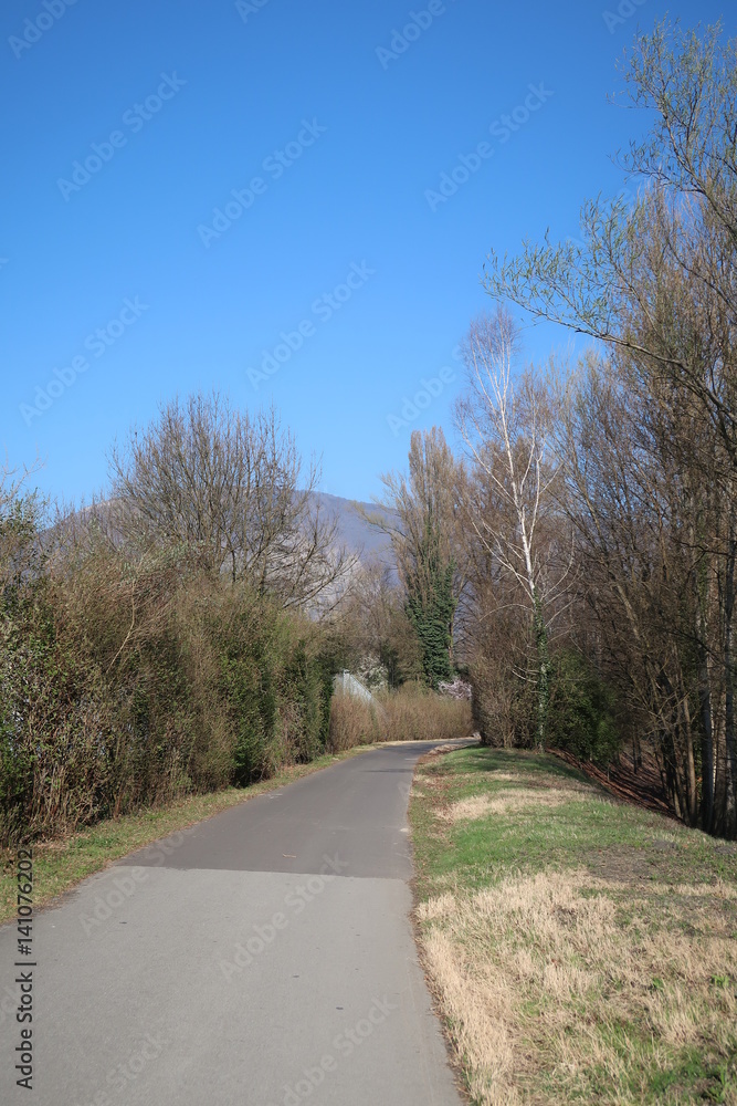 Fototapeta premium Chemin au bord de l'eau