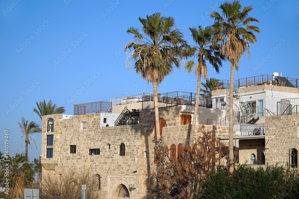 Naklejka premium Middle eastern style old stone houses with palm trees