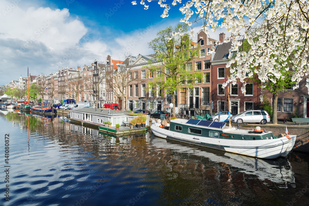 embankment of Amstel canal in Amsterdam at blooming spring day, Netherlands